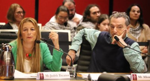 Standing against the tide: Jews Against the Occupation ’48 at the NSW antisemitism inquiry