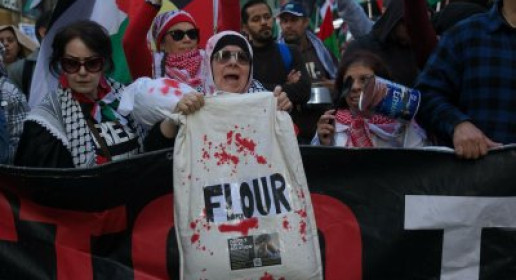 Palestinian statehood must not distract from immediate action against Israel’s genocide