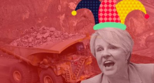 Tanya Plibersek: Jesting the environment